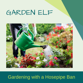 Watering can instead of hosepipe due to ban